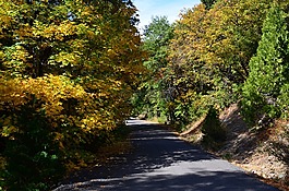 农村公路,山区公路,路