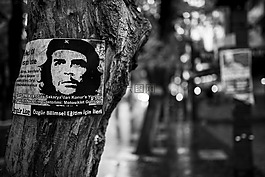 che guevara,树,海报