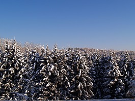 雪,太阳,温纳