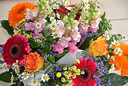 鲜花,斯特劳斯,loewenmaeulchen