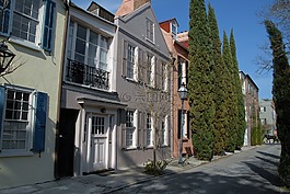 历史街区,南卡罗来纳州查尔斯顿,云杉树
