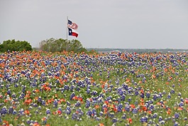旗,德克萨斯州旗,我们的标志