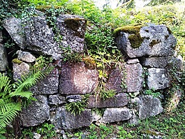 岩石,墙,阿尔卑斯