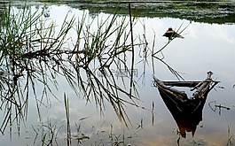 舢,舢板沉没,沉