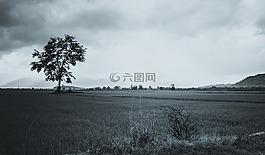 铜,我的故乡,奠