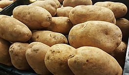 土豆,块茎,赤褐色