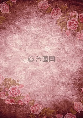 玫瑰,玫瑰红,年份