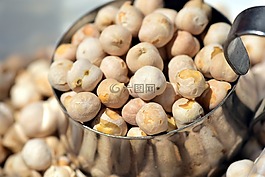 鹰嘴豆,烤,烤鹰嘴豆