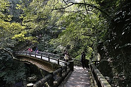 烏來,步道,遊山玩水