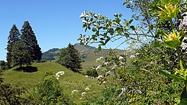 上萨瓦,阿尔卑斯山,性质