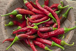 辣椒,园艺,蔬菜