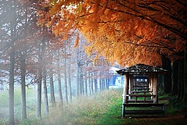 史顺天府使,秋季,展位