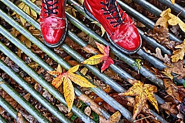 脚,鞋,妇女的鞋子