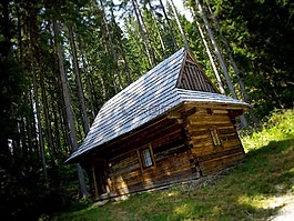 skanzen,露天博物馆,棚