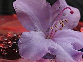 cd,计算机,文件