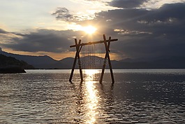 野生的,hon,海滩