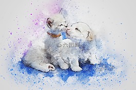 猫,狗,可爱