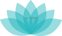 莲花,蓝莲花,开花