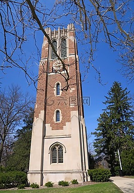 塔,密歇根州立大学,大学