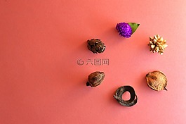 花香,干,脱水