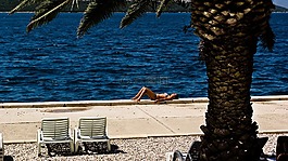 波斯尼亚和黑塞哥维那,neum,棕榈