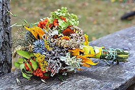 花束,药草,草药