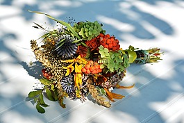 花束,药草,草药