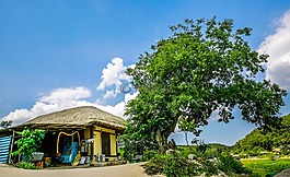 这房子,古代的树,蓝色