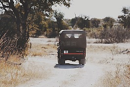 吉普车,越野,4 x 4