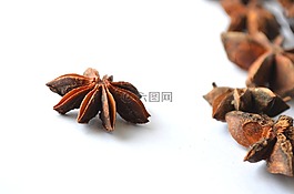 中国八角茴香,八角,八角茴香
