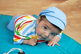 爬网,可爱,投标