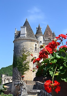 城堡,城堡 des milandes,文艺复兴时期