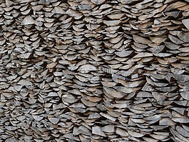 holzstapel,柴,堆积