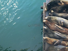 密封件,水,睡眠