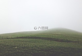 草甸,山坡上,小山