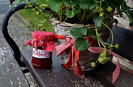 草莓酱,草莓,草莓植株
