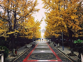成都,中国,街道