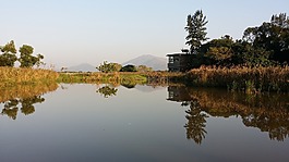 香港,湿地公园,yuen长