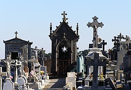 坟场,墓碑,土窖