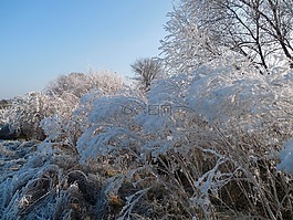 冬天,寒冬,12 月