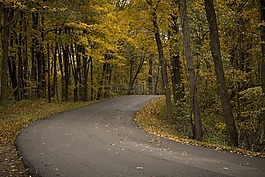 缠绕,路,路面