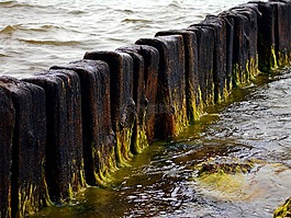 防波堤,海,海藻