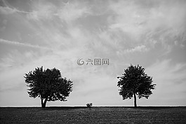 树,单色,最小
