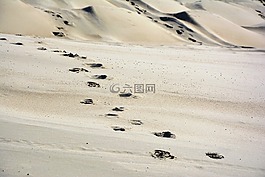 砂,沙丘,在沙滩上的脚印