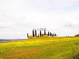 toscana,natural,landscape