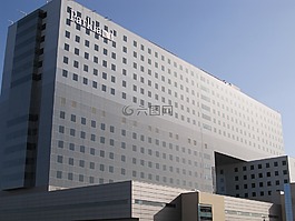 现代,建设,稀树草原