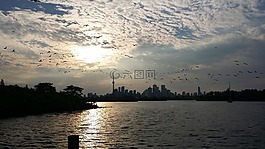 日落,多伦多,汤米 汤普森公园