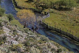 尼,洋,河