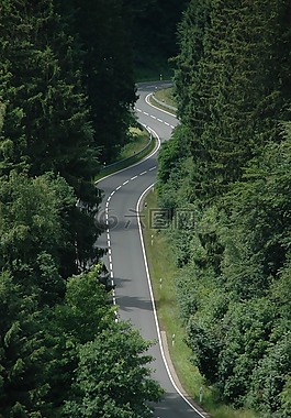 蛇纹石,在森林里的路,曲线