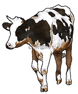 水彩牛图片_水彩牛素材_水彩牛模板免费下载-六图网
